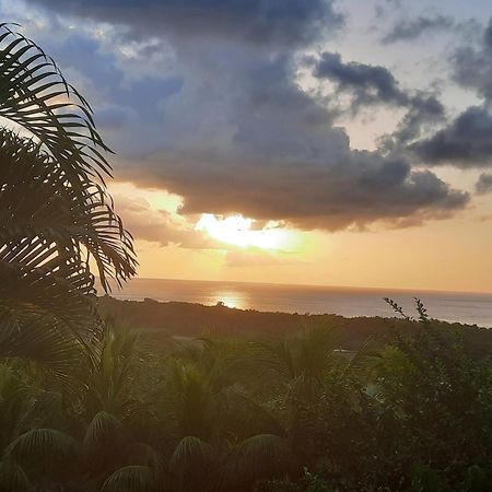 Вилла Oasis De Grande Anse Деше Экстерьер фото