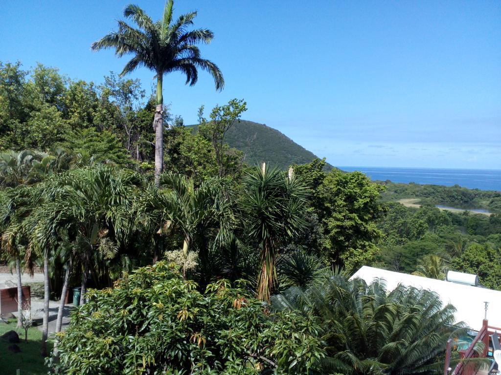 Вилла Oasis De Grande Anse Деше Экстерьер фото
