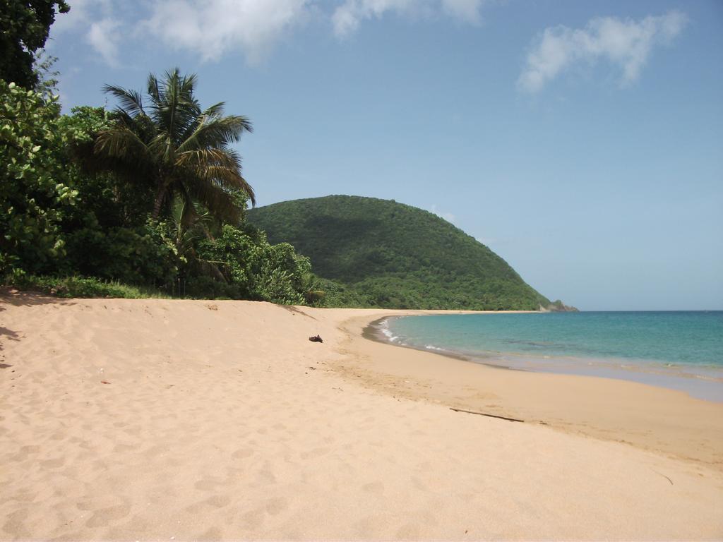 Вилла Oasis De Grande Anse Деше Номер фото